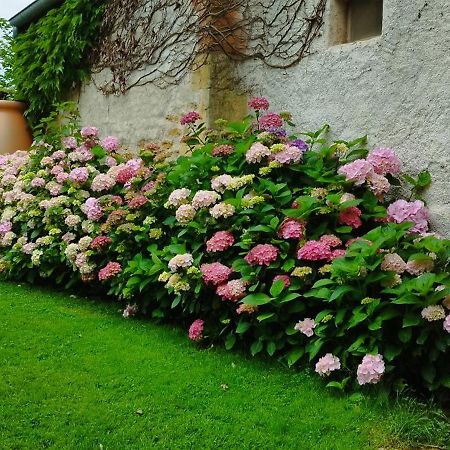 Le Charbonnet Bed & Breakfast Anzy-le-Duc Екстериор снимка